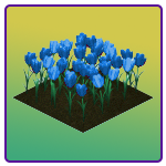 Blue Tulips