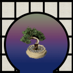 Bonsai 1