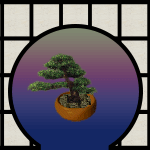 Bonsai 3