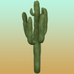 Plain Large Cactus 1