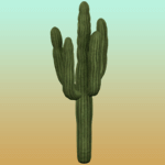 Plain Large Cactus 7