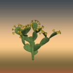 Flowered Large Cactus 4