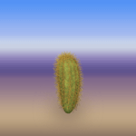 Plain Round Cactus 1