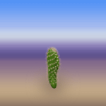 Plain Round Cactus 3