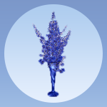 Blue Delphinium & Flower Vase