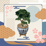 Bonsai