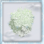 Snowy Shrub