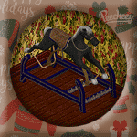 Santa's Shack: Black Bouncy Horse