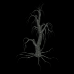 pooky Tree 5