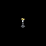 Wizard Props - Chalice